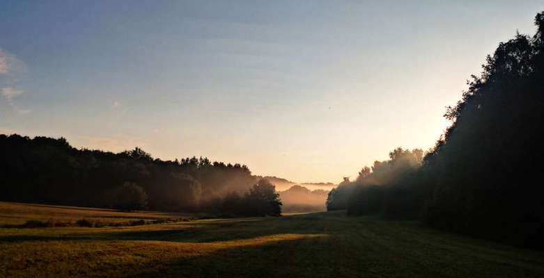 Die wunderschöne Welt mit Hund.-Beitrag-Bild