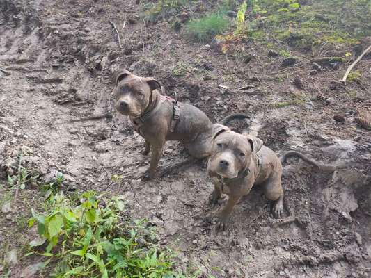 Zeigt mir doch mal eure Dreckspätze-Beitrag-Bild