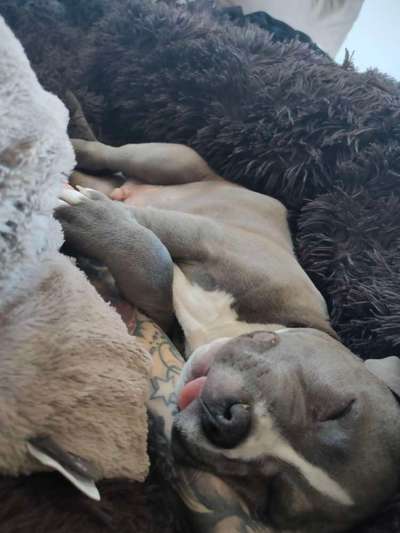 Fotochallange Nummer 5-Beitrag-Bild