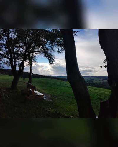 Die wunderschöne Welt mit Hund.-Beitrag-Bild