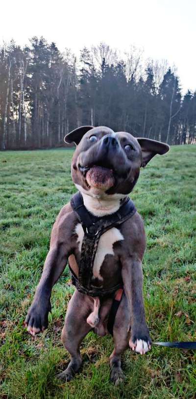 20. Handy -Foto-Callenge-Beitrag-Bild