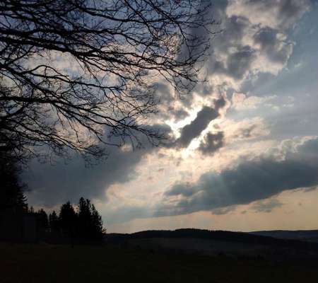 Die wunderschöne Welt mit Hund.-Beitrag-Bild