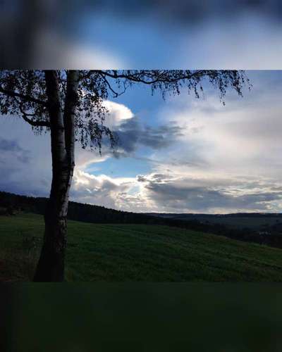 Die wunderschöne Welt mit Hund.-Beitrag-Bild