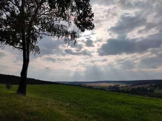 Die wunderschöne Welt mit Hund.-Beitrag-Bild