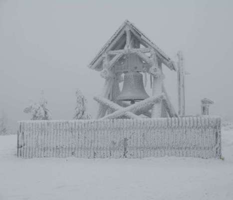 Die wunderschöne Welt mit Hund.-Beitrag-Bild