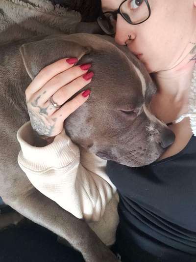 Handyfoto challenge Nr.7-Beitrag-Bild