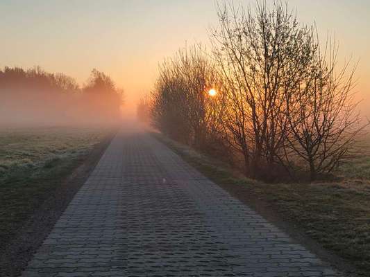 Die wunderschöne Welt mit Hund.-Beitrag-Bild