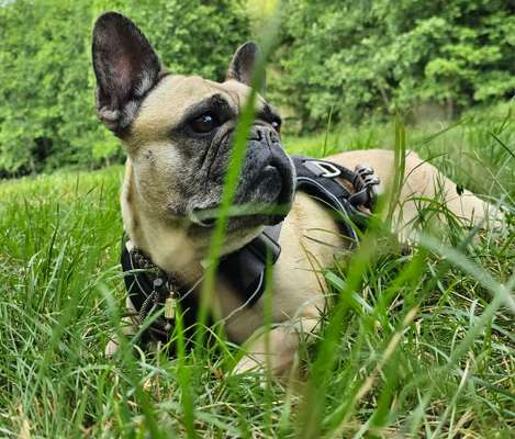 Zeigt eure schönsten Sommerbilder-Beitrag-Bild