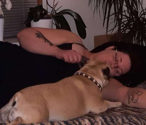 Vertrauen zwischen Hund und Halter-Beitrag-Bild