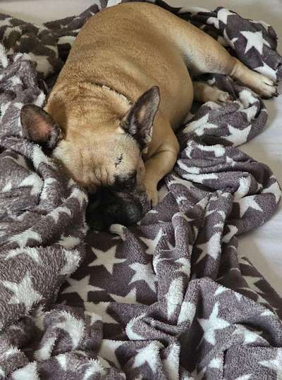 42. Collage Challenge - Ruheplatz-Beitrag-Bild