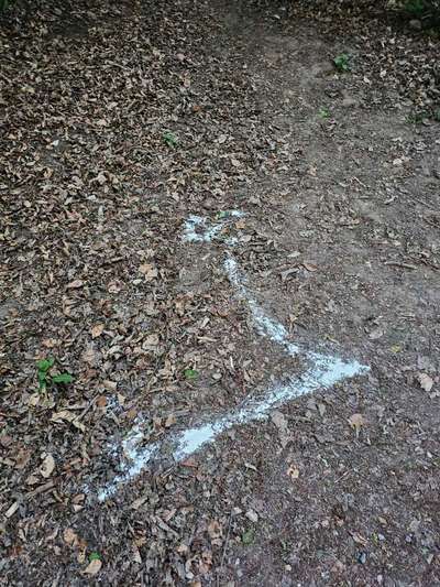 Giftköder-Pulver-Bild