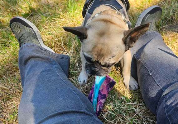 Zeigt eure schönsten Sommerbilder-Beitrag-Bild