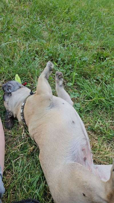 Zeigt eure schönsten Sommerbilder-Beitrag-Bild