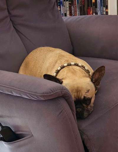 42. Collage Challenge - Ruheplatz-Beitrag-Bild