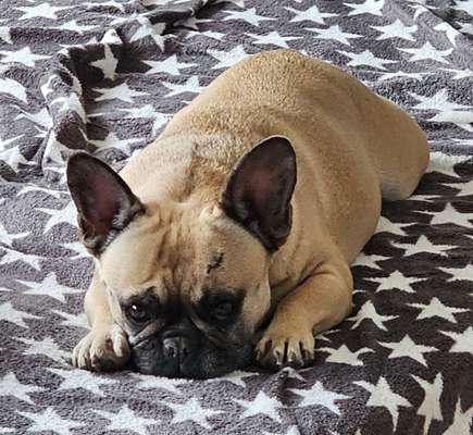 Lieblings Fotos-Beitrag-Bild