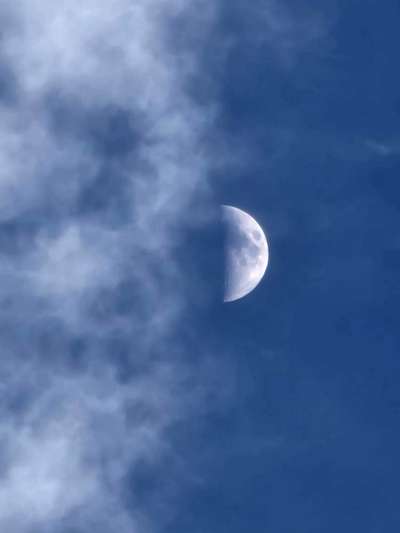 Die wunderschöne Welt mit Hund.-Beitrag-Bild