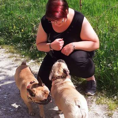 Hundetreffen-Bullytreff-MTK-Bild