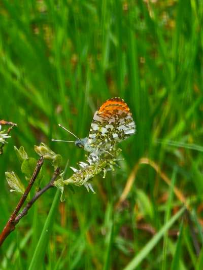 Die wunderschöne Welt mit Hund.-Beitrag-Bild