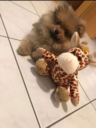 Erstes Bild-Beitrag-Bild