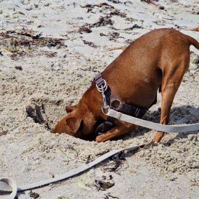 Fotochallenge Nr. 94 It's summer time-Beitrag-Bild