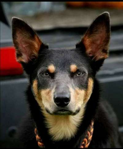 Lieblingsbild-Beitrag-Bild