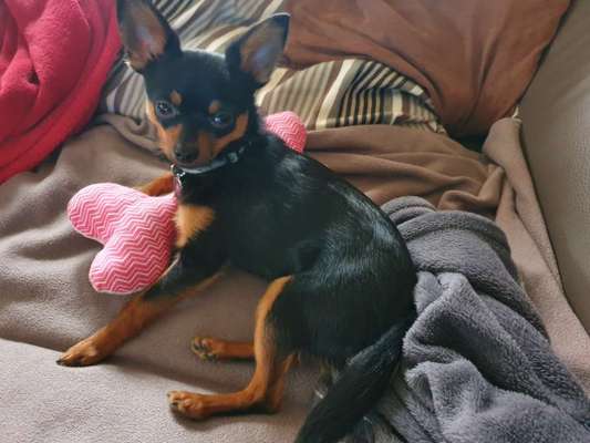 Zubehör selbst machen-Beitrag-Bild