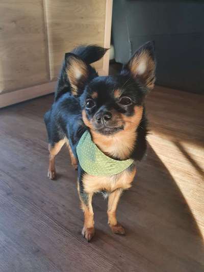 Zubehör selbst machen-Beitrag-Bild