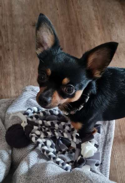 Gibt es Namens-Verwandte-Beitrag-Bild