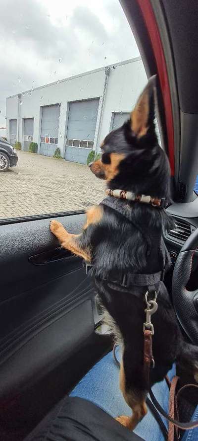 120. Fotochallenge-Beitrag-Bild