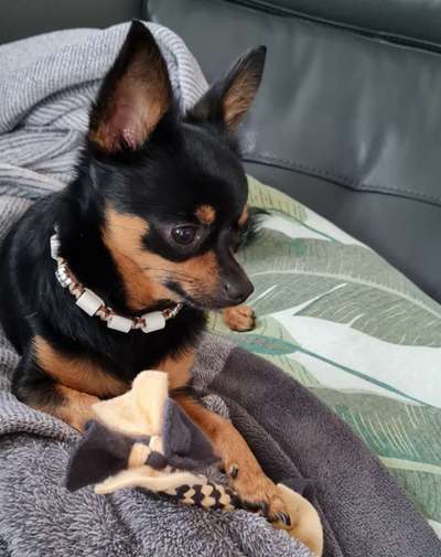 Zubehör selbst machen-Beitrag-Bild