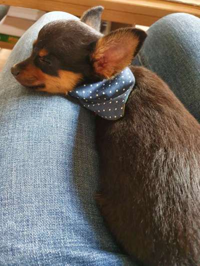 Zubehör selbst machen-Beitrag-Bild