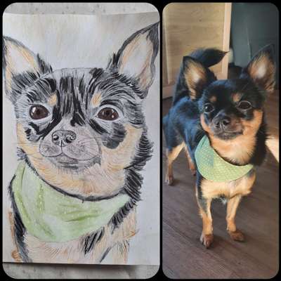 Ich zeichne deine Fellnase-Beitrag-Bild