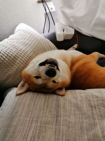 Immer lächeln !-Beitrag-Bild