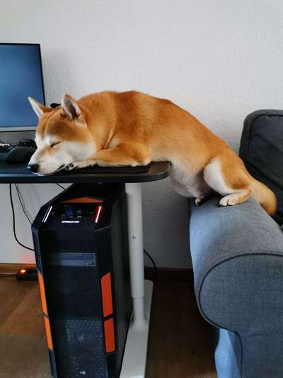 Die unbequemsten und lustigsten Schlafpositionen-Beitrag-Bild