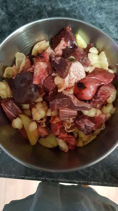 Ab und zu Futterverweigerung BARFEN-Beitrag-Bild