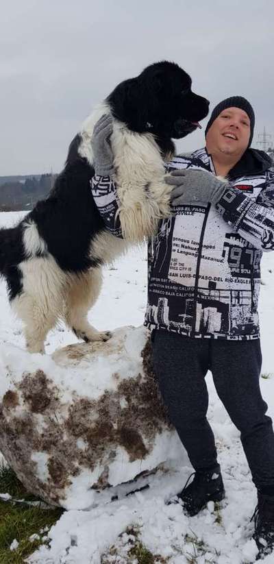 Bernhadiner-Beitrag-Bild