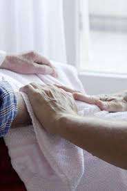 Wie heißt dein Hund?-Beitrag-Bild