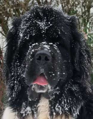 im Gegensatz zu damals.-Beitrag-Bild