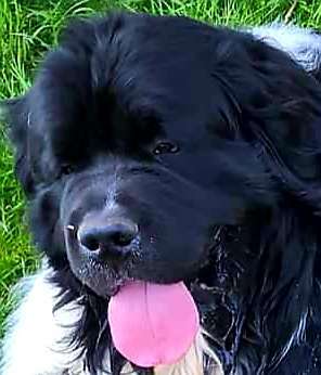 Ratespaß geht weiter-Beitrag-Bild