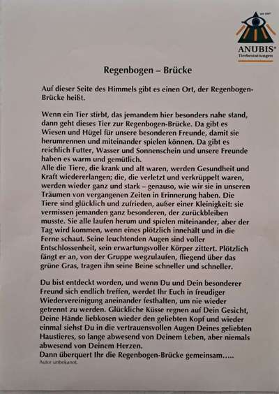 Neufundländer Freunde!-Beitrag-Bild