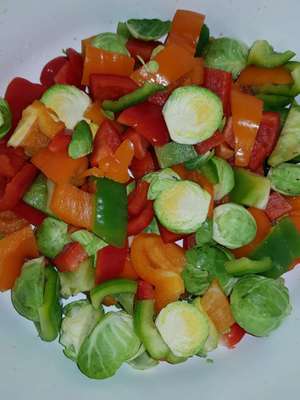 Nassfutter ohne tierische-und pflanzliche Nebenerzeugnisse-Beitrag-Bild