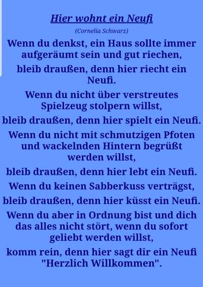 Neufundländer Freunde!-Beitrag-Bild