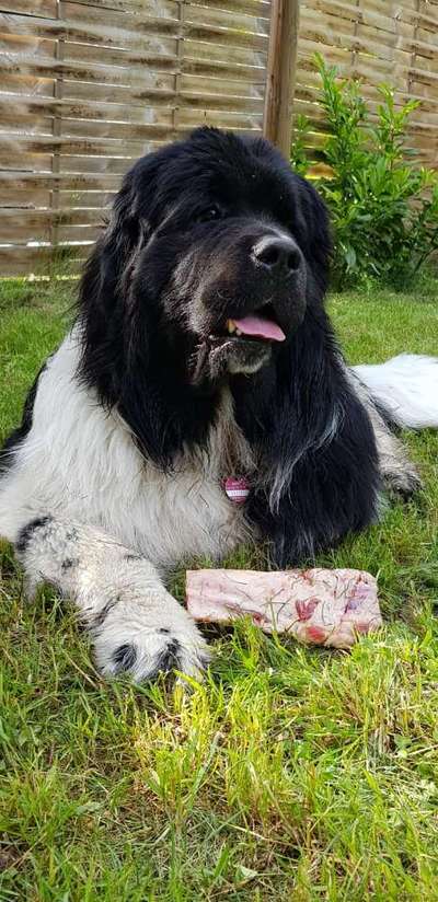 Ungewollte Streicheleinheiten etc.-Beitrag-Bild