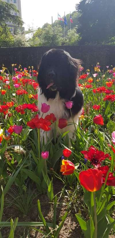 Fotochallenge 78

Es grünt und blüht-Beitrag-Bild