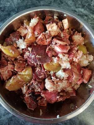 Ab und zu Futterverweigerung BARFEN-Beitrag-Bild