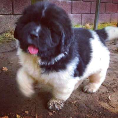 Sie werden so schnell groß!-Beitrag-Bild