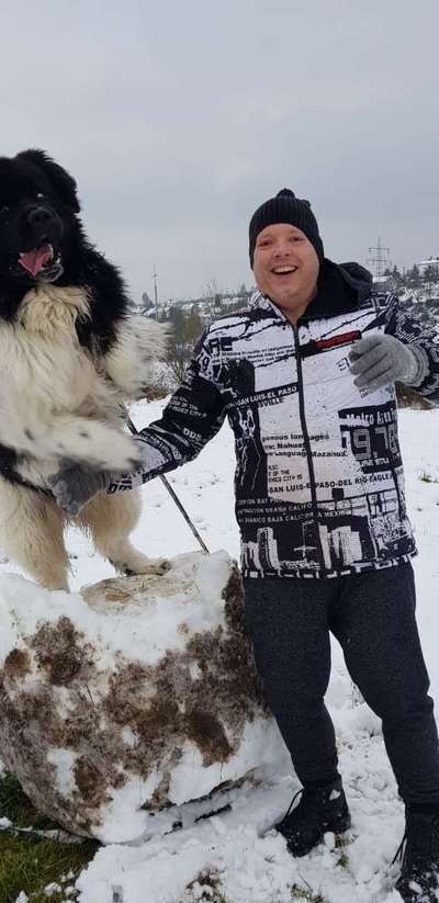 Challenge Nr. 16         Dynamik - Dein Hund in Bewegung-Beitrag-Bild