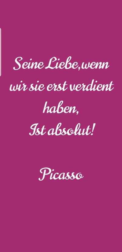 Neufundländer Freunde!-Beitrag-Bild