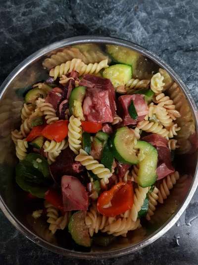 Ab und zu Futterverweigerung BARFEN-Beitrag-Bild