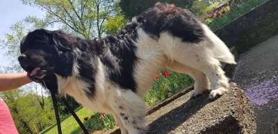 Verletzende Sprüche/Kommentare von anderen-Beitrag-Bild